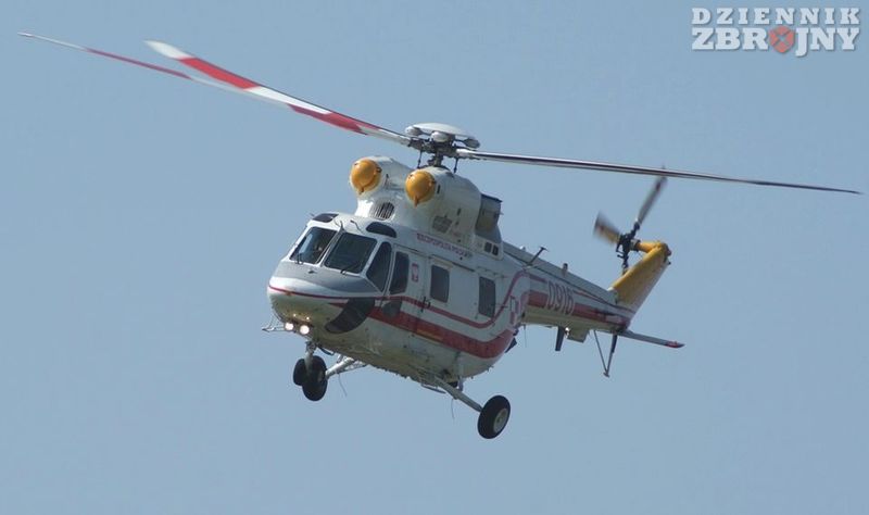 Sokół z likwidowanego 36. pułku