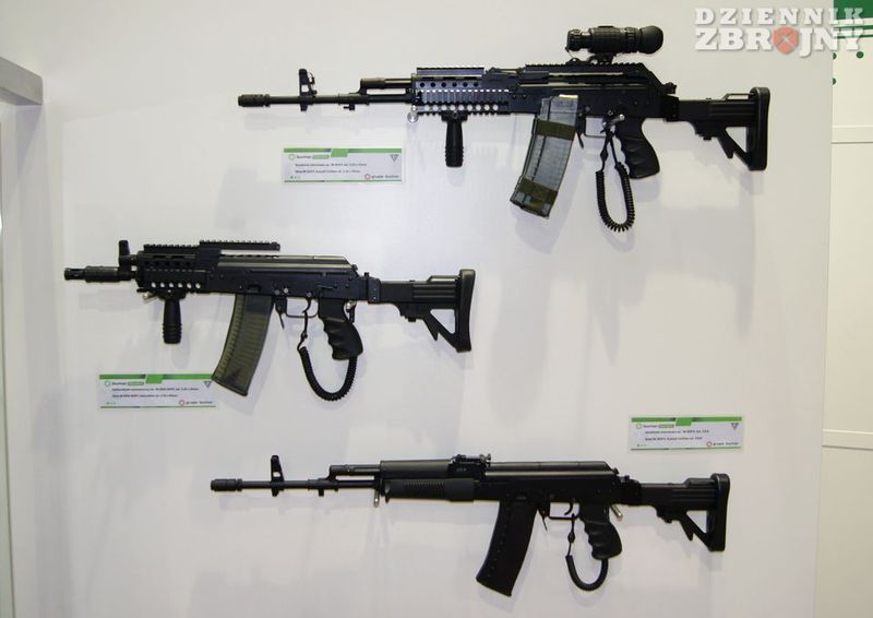 Beryle: klasyczny, skrócony oraz wersja na pocisk .22LR