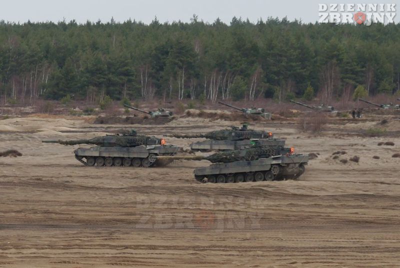 Niemieckie Leopardy mijają stanowiska haubic Goździk.