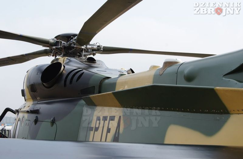 Płetwa na belce ogonowej. 