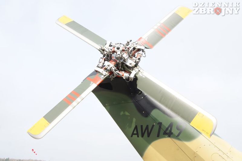 Wirnik ogonowy umieszczony dosyć wysoko.