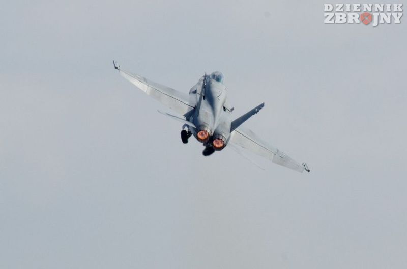 F/A-18C lotnictwa fińskiego