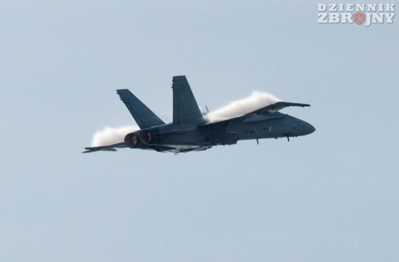 F/A-18C Hornet lotnictwa fińskiego