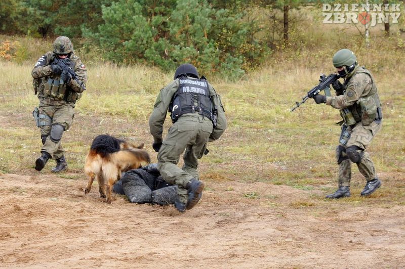 Zatrzymanie terrorysty. 