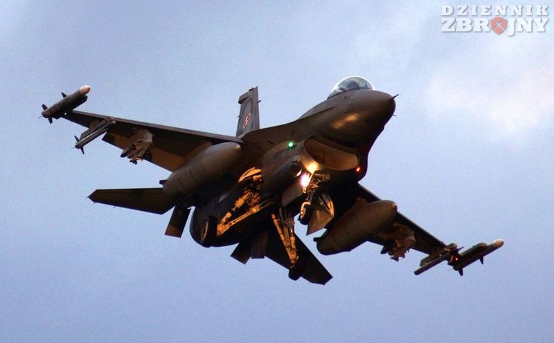 Polski Jastrząb z elementami swoich pazurów